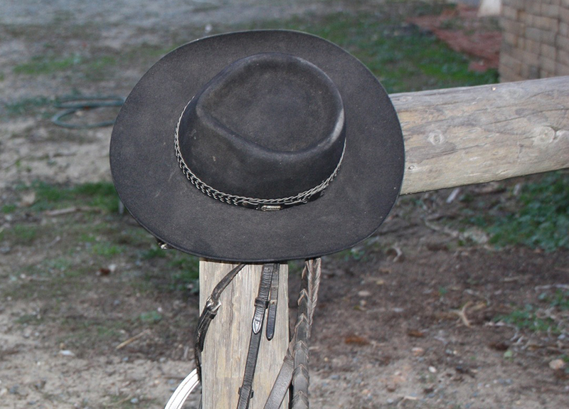 What Cowboy Hats And Cost Commissions Have In Common Colorado Health
