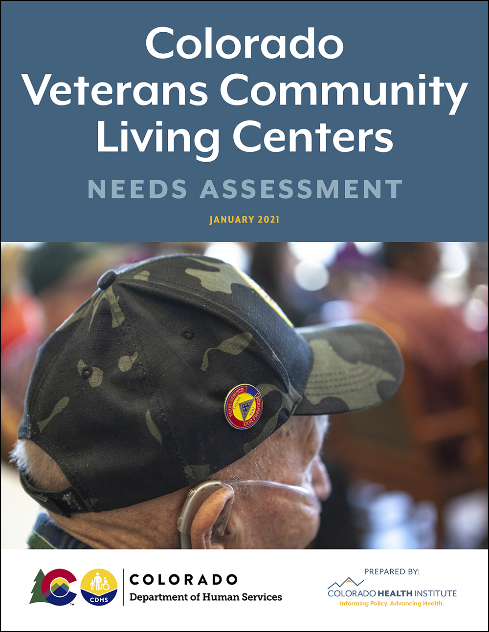 VCLC Needs Assessment Final Report cover
