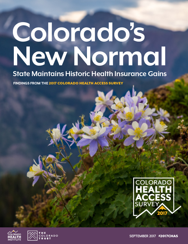 CHAS 2017 report cover