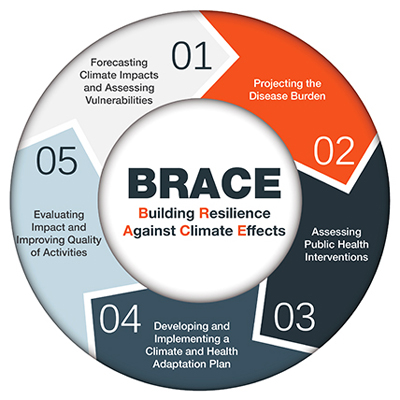Figure 1 Building Resilience Against Climate Effects (BRACE) Framework