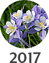 2017
