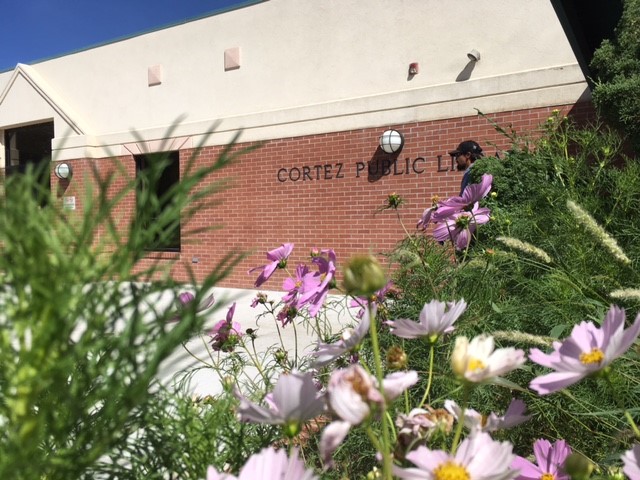 cortez library