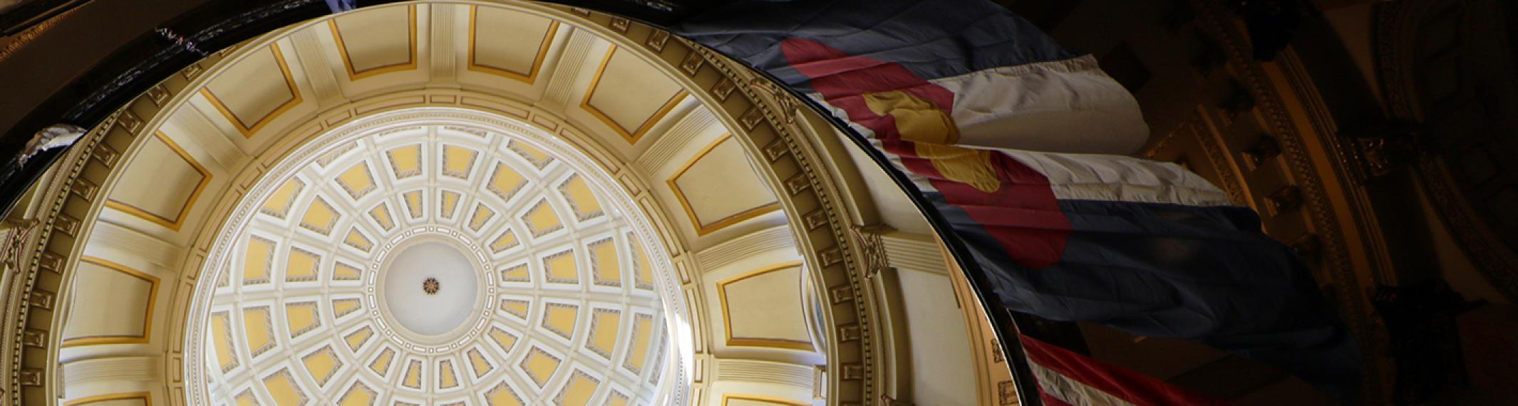 LOT Banner
