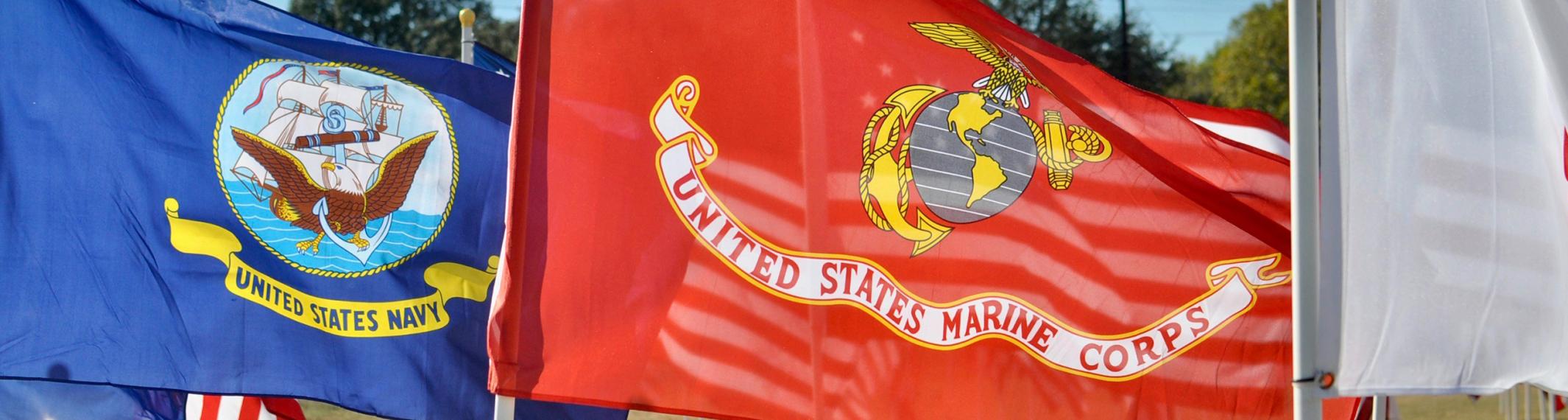 header image of military flags