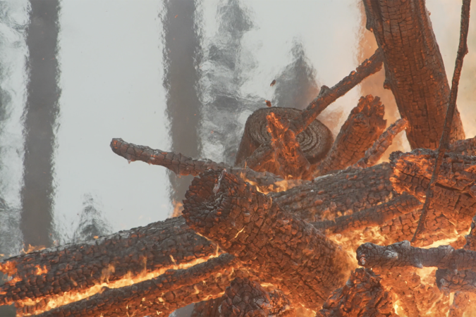 A stack of logs on fire during a prescribed burn, giving off heat waves that blur the trees in the background