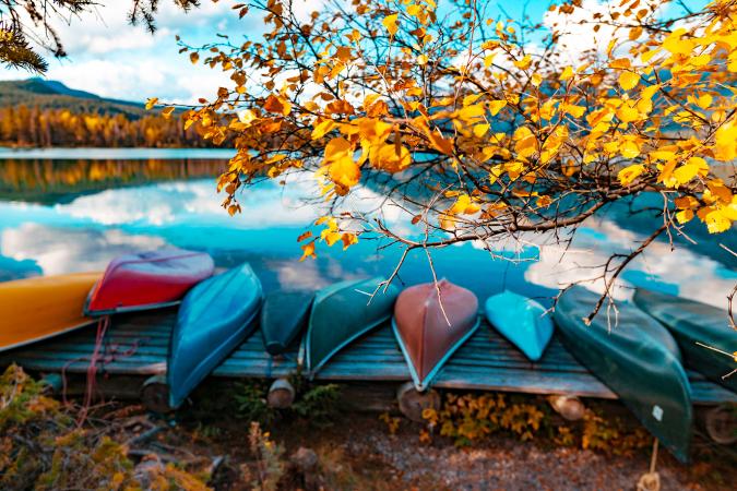 Nine canoes in different colors resting upside down next to a river under the branch of a golden aspen tree