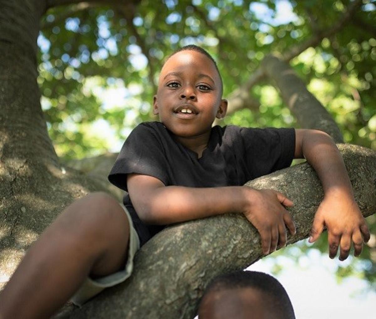 Boy hangs off the side of a large tree branch.