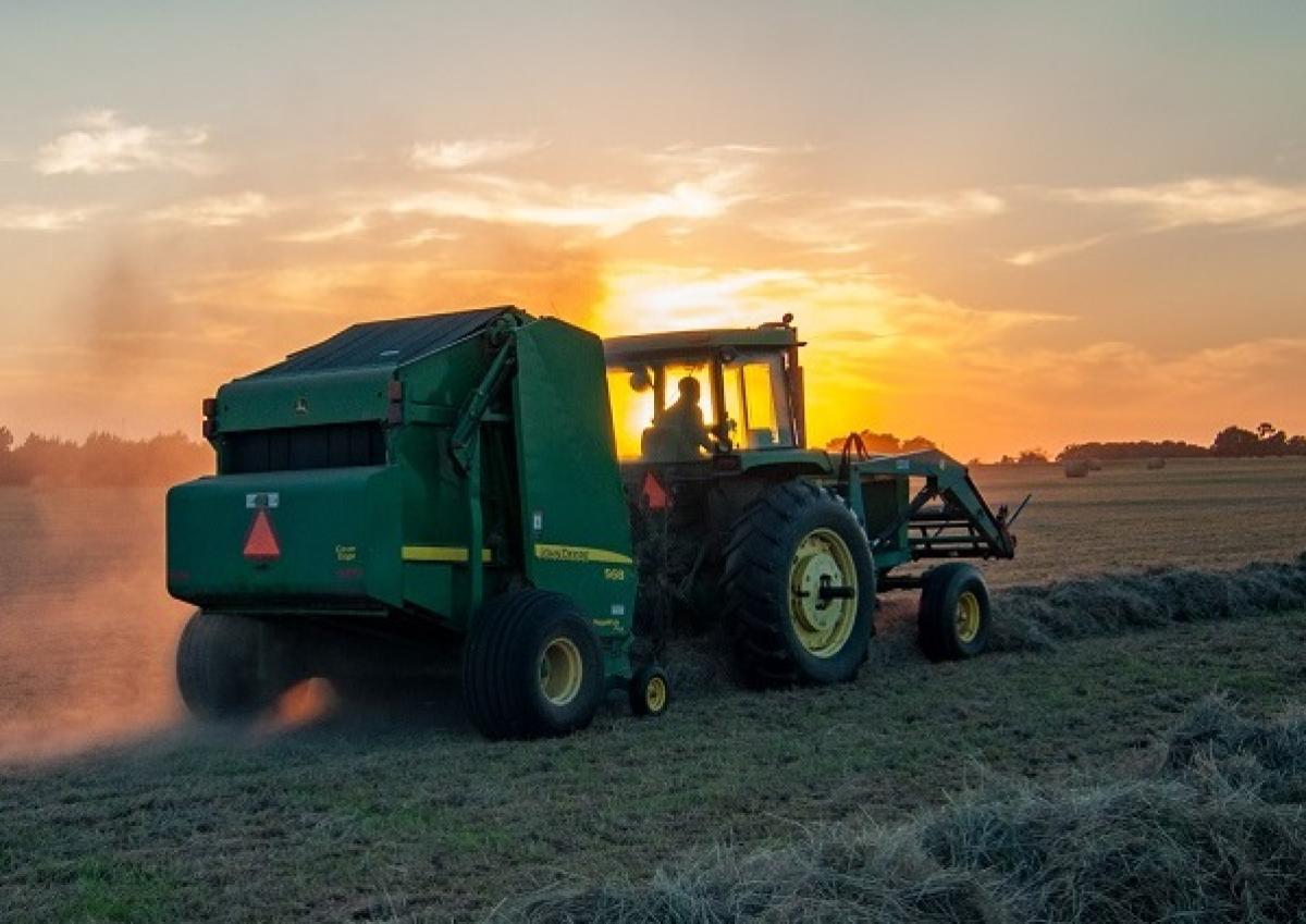 Farm equipment processing a rural field at sunset.