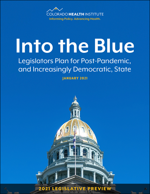 Into the Blue: 2021 Legislative Preview