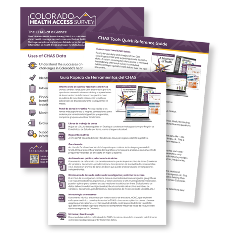 Pictures of the CHAS at a Glance