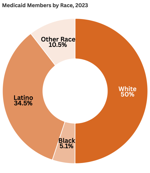 2023 CHAS pie chart showing Medicaid membership by race